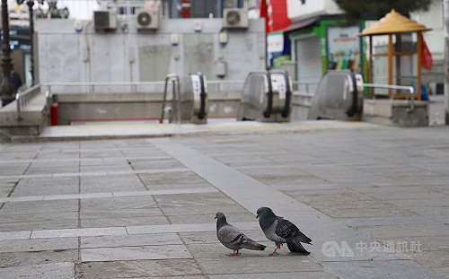 土耳其武漢肺炎病例超越伊朗 中東第一全球第8