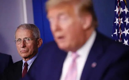 川普急著解封  弗契唱反調：會讓病例數再次激增