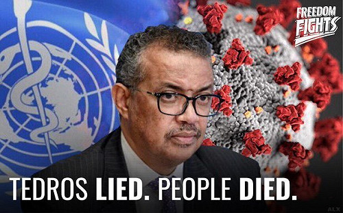 譚德塞自推「誠實」 國際網友貼滿台灣國旗狂打臉