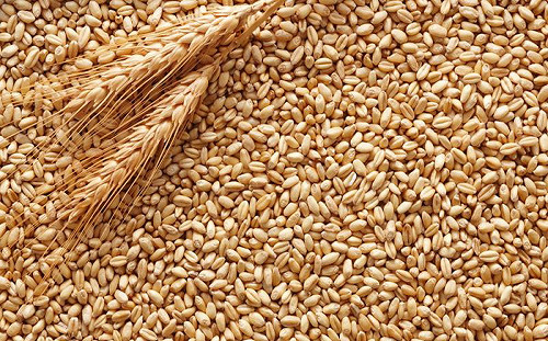 都怪中國在搶糧! 專家：大肆採購助長國際糧價飆漲