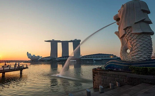 新加坡確診爆衝亞洲第2！「關鍵數據」眾看傻：這不行啦