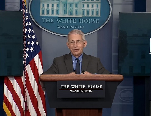 鬆綁政策和川普唱反調 佛奇：已2週沒和總統見面了