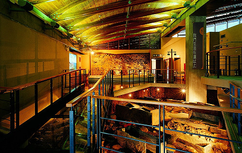 首次大改造！台灣史前館5月底暫停營運