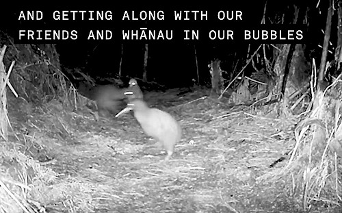 (影)奇異鳥「居家防疫示範影片」一曝光就爆紅　網歪樓：屁屁太口愛！