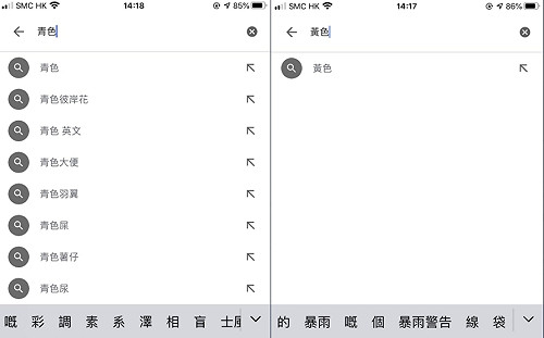被維穩？唯獨「黃色」搜尋沒建議結果  港網友質疑谷歌「顏色革命」