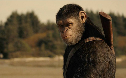 不是續集！導演威斯柏證實：全新《猩球崛起》即將開拍