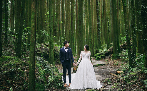 神木見證誓約 浪漫星光森林婚禮在阿里山