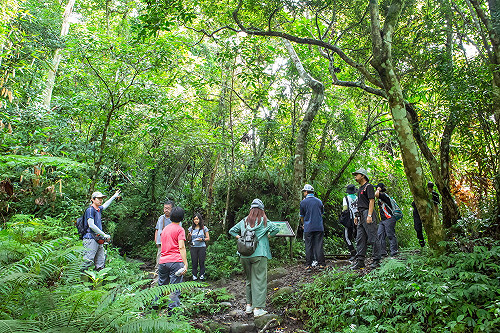 專人帶領遊程！登都蘭山頂飽覽太平洋、東海岸線美景