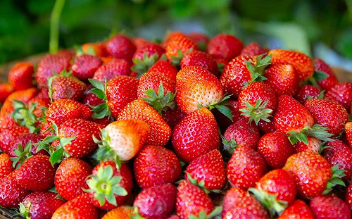 美國公布「十二大最髒蔬果」！農藥殘留恐懼讓人什麼都不敢吃？