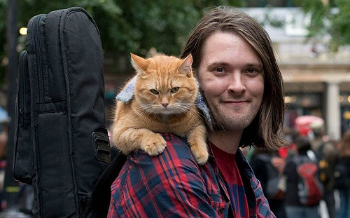 《遇見街貓BOB》14歲橘貓辭世！伴主人戒毒13年：是牠拯救了我的生命