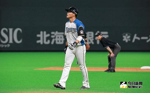 日職／火腿本季期待大砲　日媒：王柏融是關鍵人物