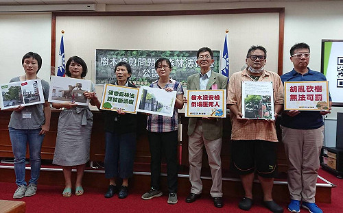 樹木斷頭亂象多   立委籲修訂森林法告別砍樹惡行