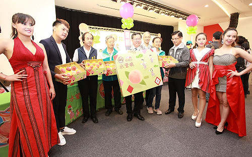 正宗拉拉山水蜜桃開賣  開放預購衝5萬盒目標