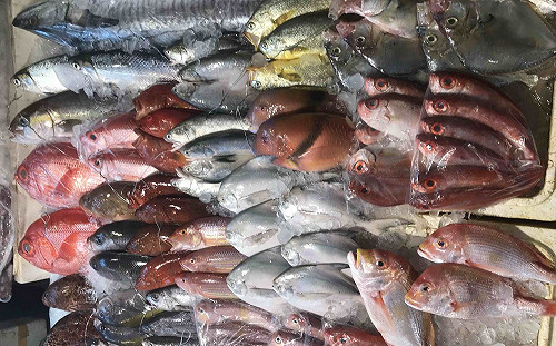 新北市龜吼漁夫市集 端午連假好吃好玩又有好康