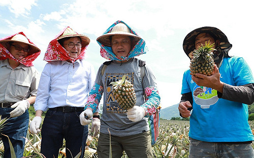 經濟靠中國真的沒用！中國禁台鳳梨 網諷：裡面有自由民主的味道？