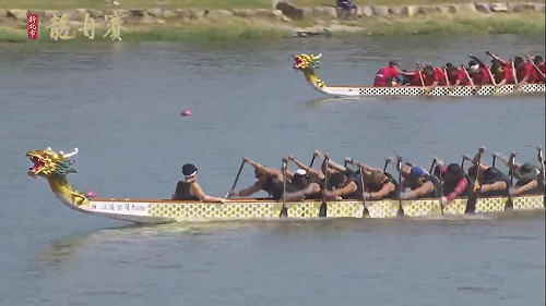 新北議長盃龍舟賽今登場 80隊連兩天競技