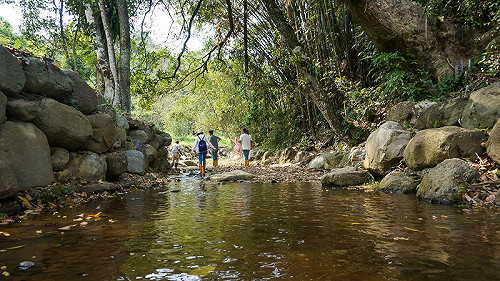 與振興券同步！250元農遊券延至7月發行