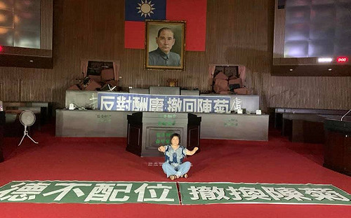 藍委佔立院》葉毓蘭過程中摔倒 自曝曾學柔道有「護身倒法」