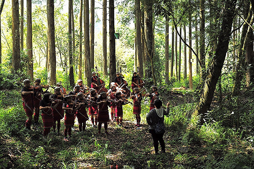 奧萬大森林遊樂區26歲周年慶！連續10天入園只要10元