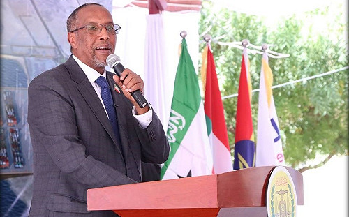 台灣外交重大突破 傳索馬利蘭將派代表駐台