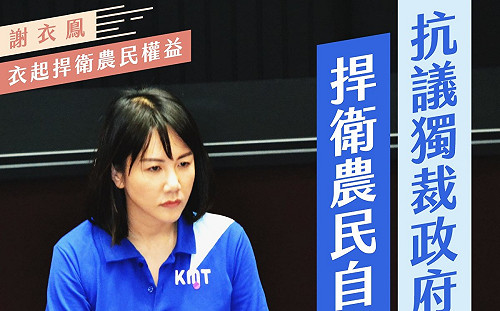 藍委謝衣鳳臉書痛批《農田水利法草案》：農委會違法違憲