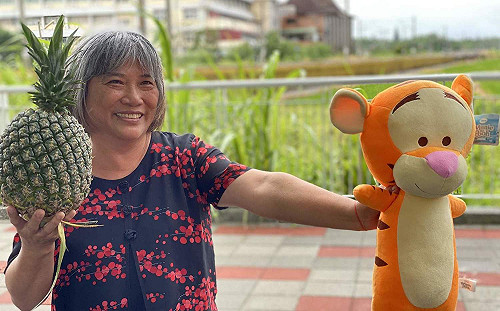 翻轉老大人形象  民雄銀髮族代言新品種「西瓜鳳梨」