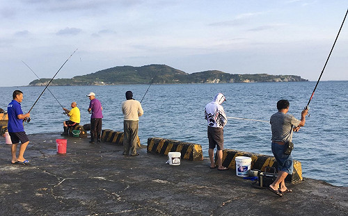 良影一二》鯷魚洄游馬祖海域 全民瘋鯷魚 老天送給馬祖人的夏季料理