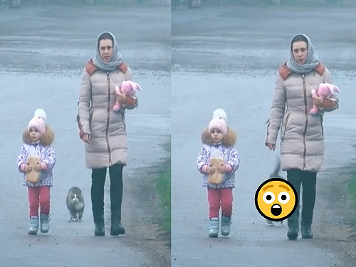 (影)貓咪與母女散步　走到一半突然做一舉動網驚：忍者貓4你？