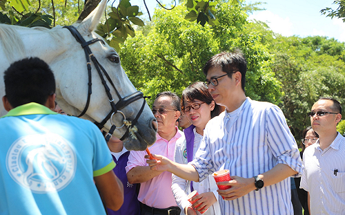 訪馬術治療被問延續韓賽馬政策？陳其邁酸：香港馬會打槍2次