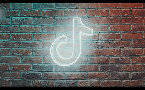 印度下重手！永久禁用TikTok等59款中國App