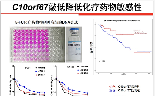 「拼爹」拼很大 昆明小六「神童」研究癌症獲科學獎 父承認「過度指導」