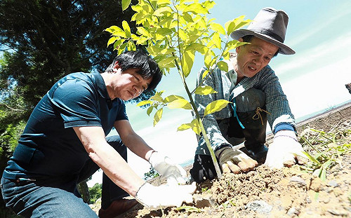 高溫快飆破39度  賴清德赴大雪山  為後代種下能乘涼的樹