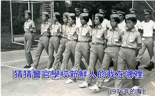 立院扯髮被封「女戰神」 葉毓蘭:此生第一次打架