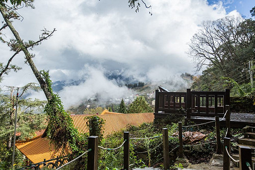 夏天這樣玩梨山！上山避暑買水蜜桃、品高山茶正當時