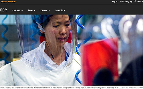 武漢病毒研究所石正麗：川普欠我們一個道歉