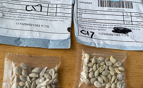 散播恐懼種子？中國寄不明包裹給美國多州民眾 當局警告恐破壞生態
