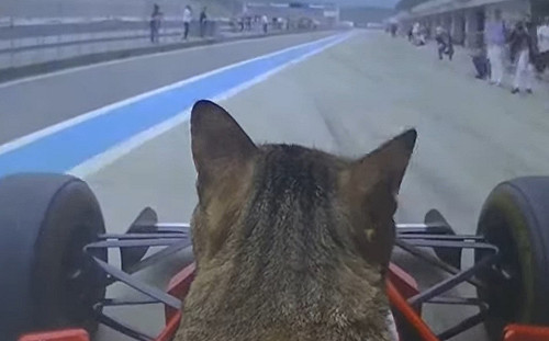 (影)「貓賽車手」首度挑戰F1賽事　完美神之過彎驚豔全場！
