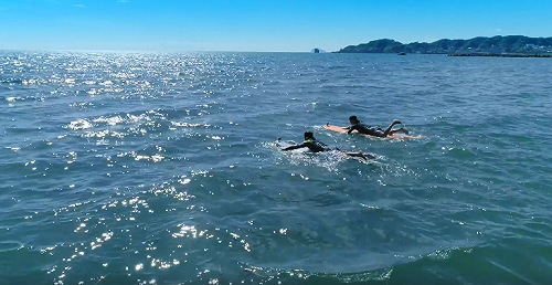 400萬中簽民眾注意！動滋券領券時間延後至8月6日