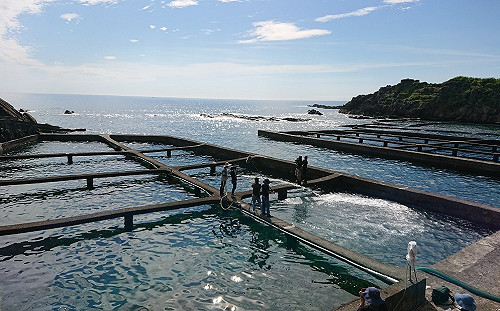 有吃有玩知性小旅行！親手炙燒貢寮鮑面海大啖美味