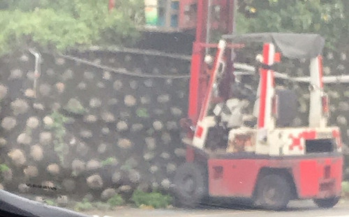 鯊魚煙業者非法掩埋廢魚肉    涉累犯遭新北環保局求重刑