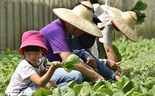 蕭徐行觀點》台灣觀光 花蓮繼位換宜蘭退位