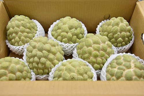 中國禁台釋迦 產地首長饒慶鈴怪中央：人家客訴產品有問題應改善