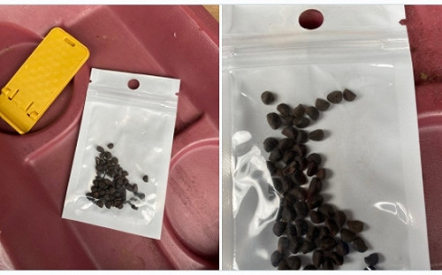 與始作俑者合作?  中、美聯合追查破壞環境神秘包裹