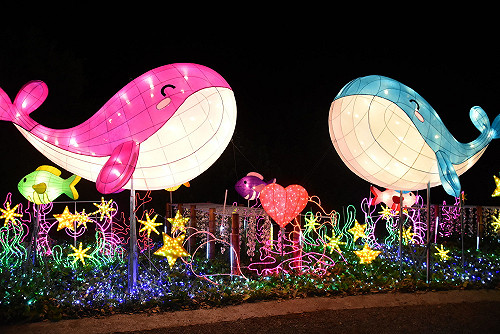數萬盞燈點亮王功漁港！港口變身璀璨光展區