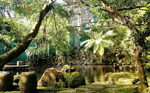 手機當嚮導！陽明書屋AR實境展一探陽明山400年歷史變遷