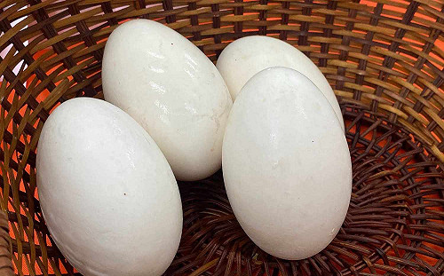 李眉蓁曝吃「百顆鵝蛋助孕」  范世平酸：應該給老公吃