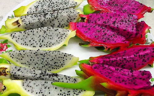 火龍果更愛吃白肉或紅肉？老饕「紅白大對決」：各有優點