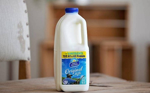 擔心澳洲政府從中作梗 中國蒙牛宣告放棄收購雄獅乳品