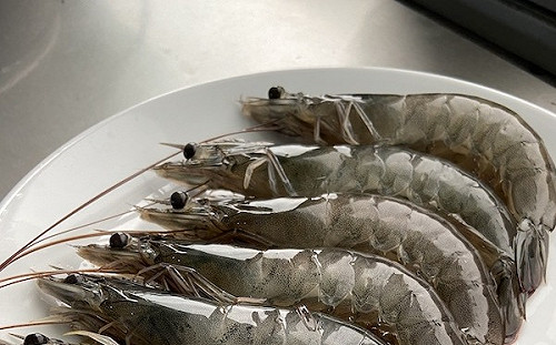 蝦頭到底能不能吃？營養師：去除這「3部位」更健康