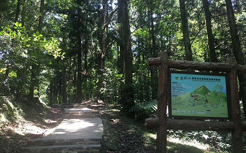 東眼山遊客爆量！園方籲別來了 入園需等30分鐘至1小時